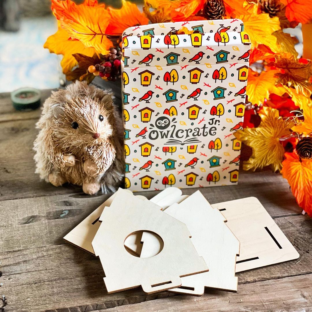 Wooden Birdhouse Kit