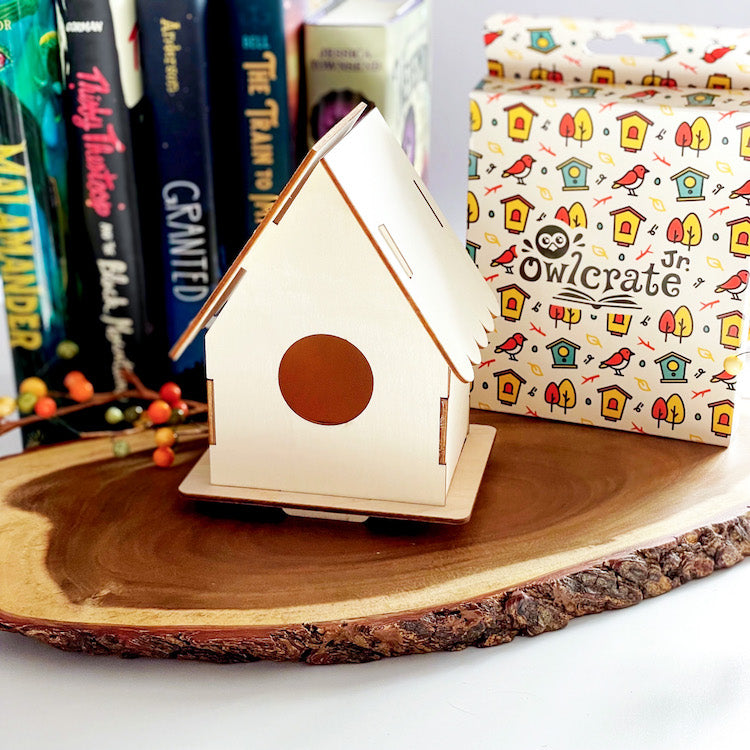 Wooden Birdhouse Kit