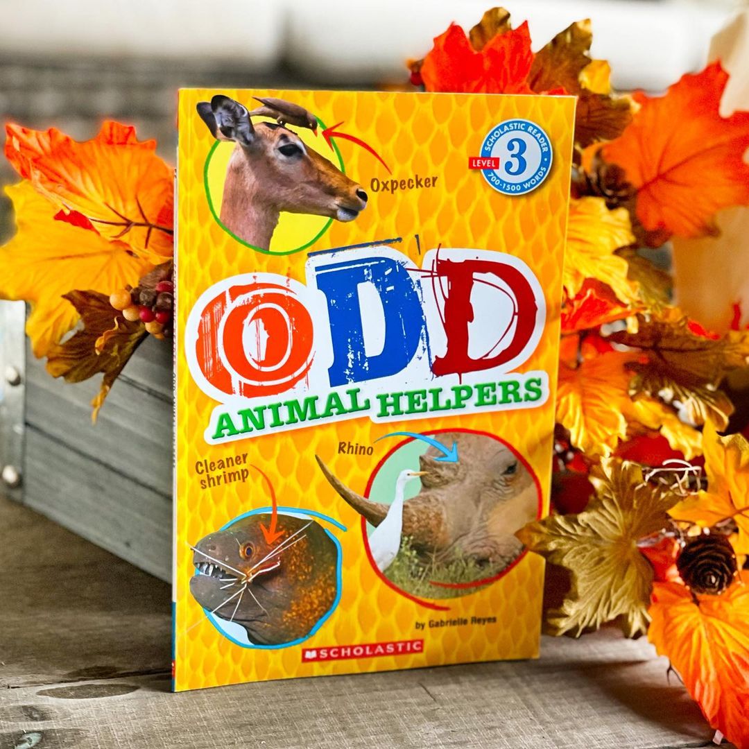 Odd Animal Helpers